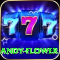 andy flower Max - Win Real PKR
