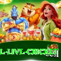 bpl live cricket - VIP Ultimate