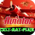 cricket bat Earn Deluxe v2.7.3