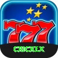 crickex Master Casino App