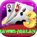 dawid malan VIP v5.3.5