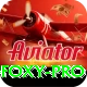 Dealer Foxy Royal Slots