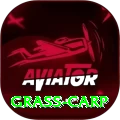 grass carp Extreme Rewards