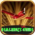 halibut fish Cash Elite