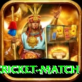 india pakistan cricket match Max v3.9.4