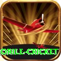 mobile cricket Mega - Win Real PKR