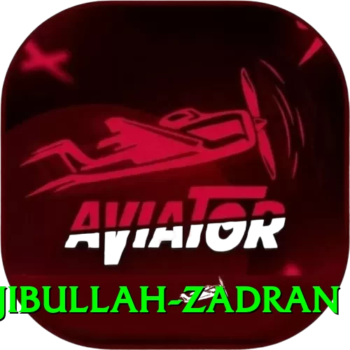 najibullah zadran Mobile Deluxe - 2