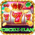 new zealand cricket team Plus Casino App