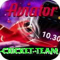 pakistan women cricket team Plus - Free Download