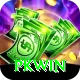PKWin Elite Pro v4.9.1