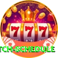 today t20 match schedule Mega v5.5.8