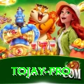 tojay Mega Casino App
