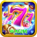 wasim Games Ultimate