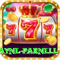 wayne parnell Casino Premium v1.2.5